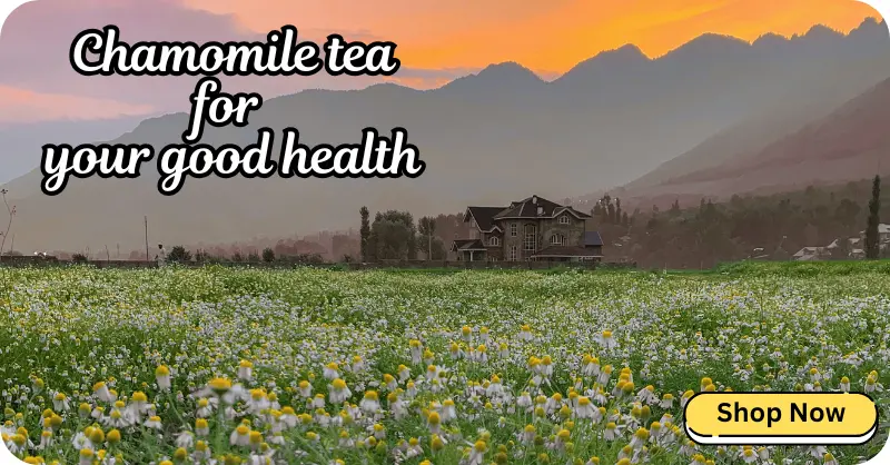 tinywow_Chamomile tea for your good health (4)_83099717